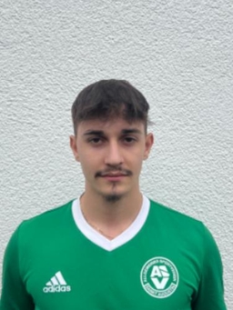 Avatar Bild für Dan-Andrei Ilies