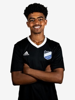 Avatar Bild für Henok Fitsihatsen Mulubrhan
