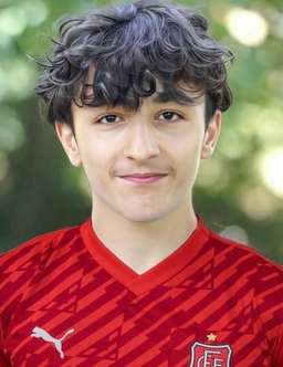 Avatar Bild für David Jaghinyan