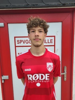 Avatar Bild für Theodor Süs