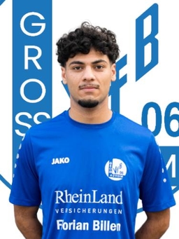 Avatar Bild für Ahmad Reza Amiri