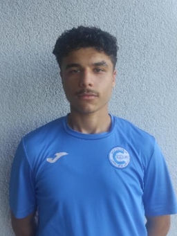 Avatar Bild für Azad Sahin