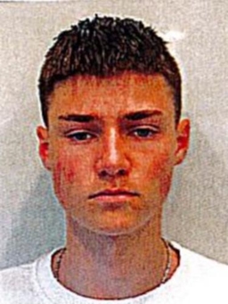Avatar Bild für Timur Alexander Allerborn