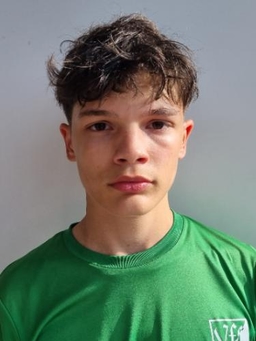 Avatar Bild für Albert Nrecaj