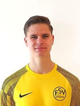 Avatar Bild für Laurin Stefan Ignacy