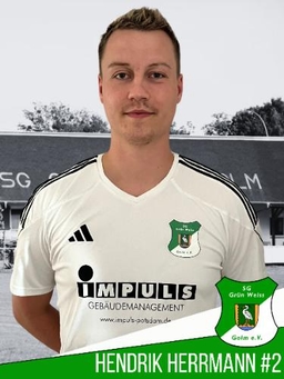 Avatar Bild für Henrik Herrmann