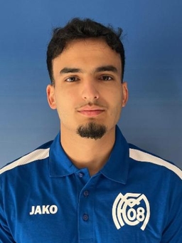 Avatar Bild für Domenico Mangione