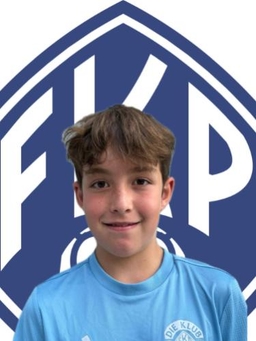 Avatar Bild für David Pirpilashvili