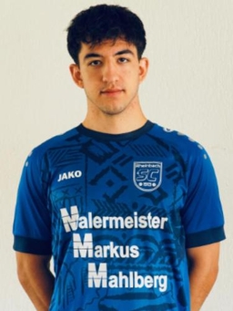 Avatar Bild für Ivan Irmiev