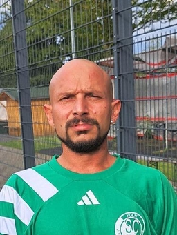 Avatar Bild für Domenico Perna