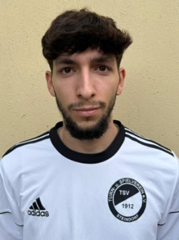 Avatar Bild für Giuseppe Lo Bue