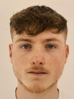 Avatar Bild für Niklas Gebhardt
