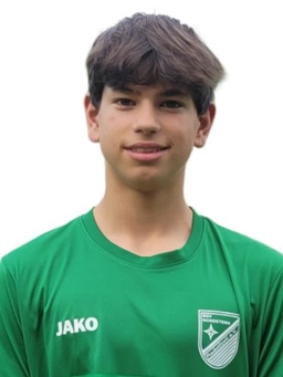 Avatar Bild für Nik Hartung