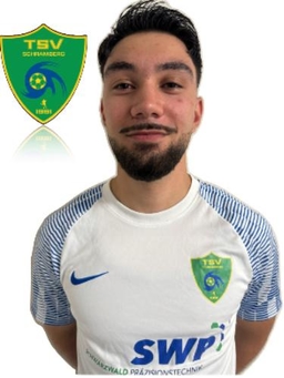 Avatar Bild für Dariuoosch Llapjani