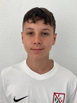 Avatar Bild für Emir Zulfic