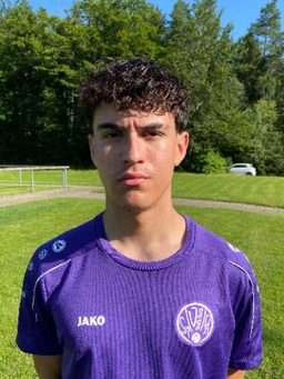 Avatar Bild für Luis Da Silva Ernst