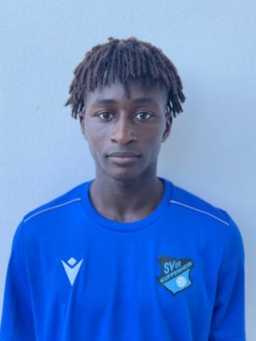 Avatar Bild für Moussa Sylla