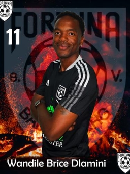 Avatar Bild für Wandile Brice Dlamini
