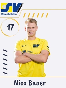 Avatar Bild für Nico Bauer