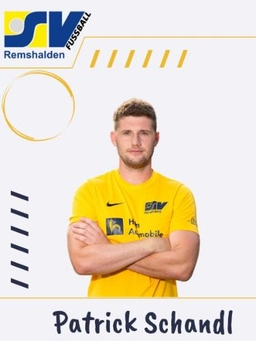 Avatar Bild für Patrick Schandl