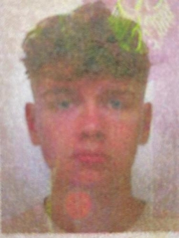 Avatar Bild für Ferdinand Emil Gauger