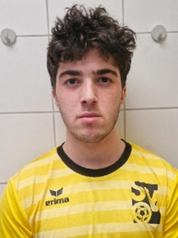 Avatar Bild für Giorgi Gegidze