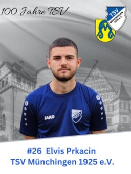 Avatar Bild für Elvis Prkacin
