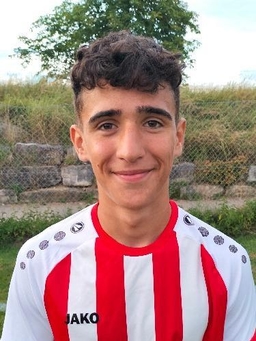 Avatar Bild für Elmir Taljevic