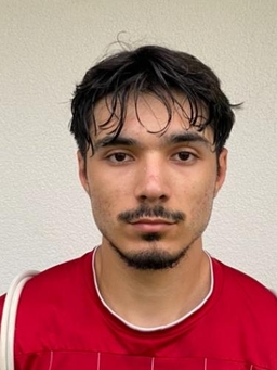 Avatar Bild für Mostafa Mohammadi