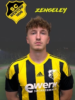 Avatar Bild für Luca Zengeley