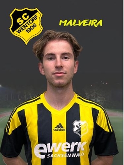Avatar Bild für Vincent Tyziak Malveira