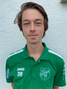 Avatar Bild für Dennis Wölfl