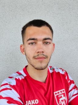 Avatar Bild für Luis Fritz