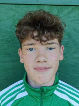 Avatar Bild für Hugo Förster