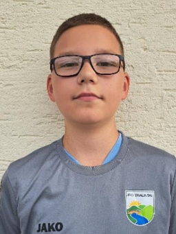 Avatar Bild für Maxim Sestakov