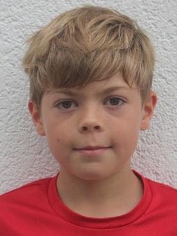 Avatar Bild für Roman Gneist