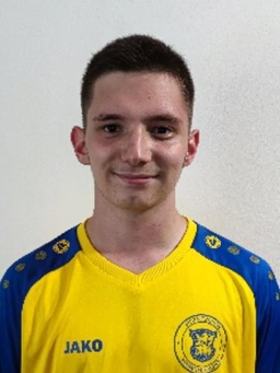 Avatar Bild für Marko Starcevic