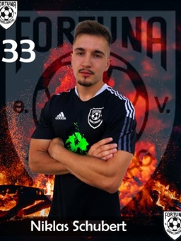 Avatar Bild für Niklas Schubert