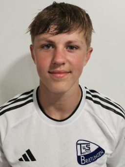 Avatar Bild für Henner Hermann Fehling