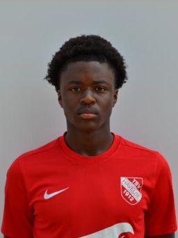 Avatar Bild für Nathan Kephren Ngamen Somo