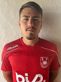 Avatar Bild für Nikola Tesic