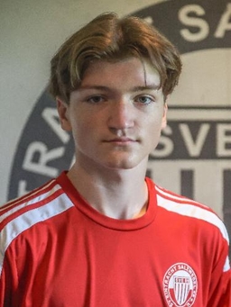 Avatar Bild für Theo Schnaible