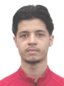 Avatar Bild für Emir Ipek