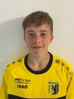 Avatar Bild für Diego Luis Schiewer