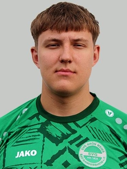 Avatar Bild für Denis Schönfeld