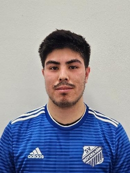 Avatar Bild für Abdollah Hamidi