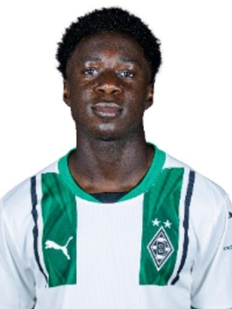 Avatar Bild für Franklin Anarfi Opoku-Mensah