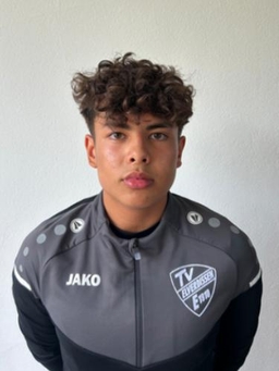 Avatar Bild für Elias Schmerz