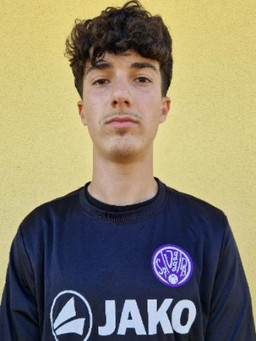 Avatar Bild für Omid Violet