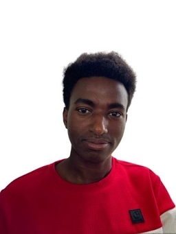 Avatar Bild für Ibrahim Ramadan Ali